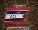 Beautiful Ice Sculpture custom made with three colors of sand of the ACL logo for an annual event. Price $295
