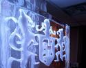 This ice sculpture features a logo.